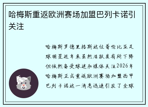 哈梅斯重返欧洲赛场加盟巴列卡诺引关注